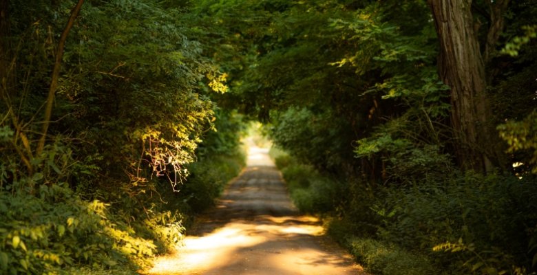 Wielkopolski Park Narodowy